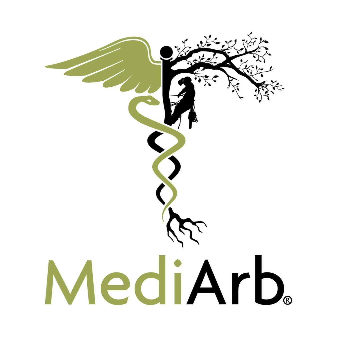 MediArb