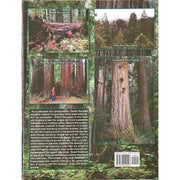 Coast Redwood - Tree of Dreams & Fortune Book by GF Beranek