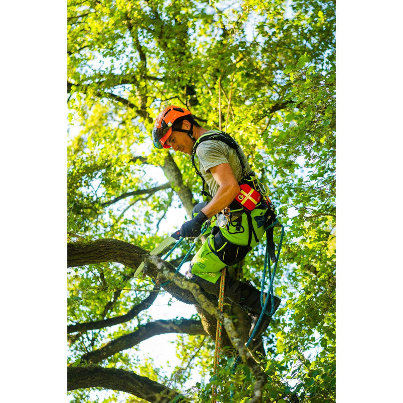 Courant Koala Climbing Harness