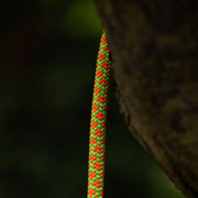 Cousin Atrax 11.6mm Climbing Rope - Green / Orange - No Splice