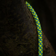 Cousin Atrax 11.6mm Climbing Rope - Yellow / Blue - No Splice