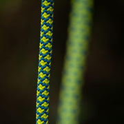 Cousin Atrax 11.6mm Climbing Rope - Yellow / Blue - No Splice
