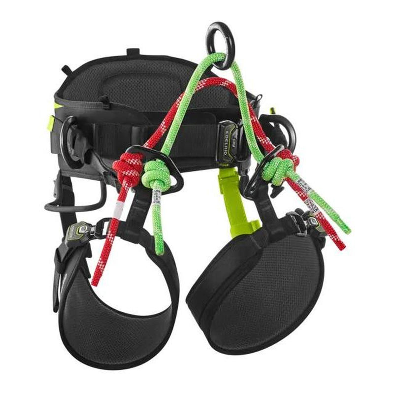 Edelrid Treeraptor Sit Climbing Harness