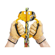 Petzl Ascentree Double Hand Ascender