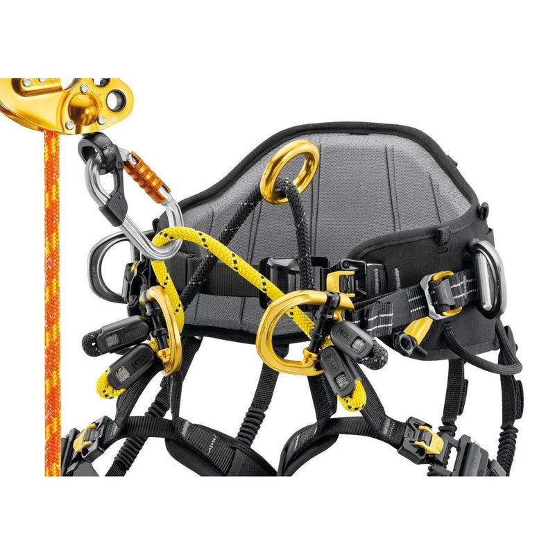 Petzl Sequoia PLUS Harness