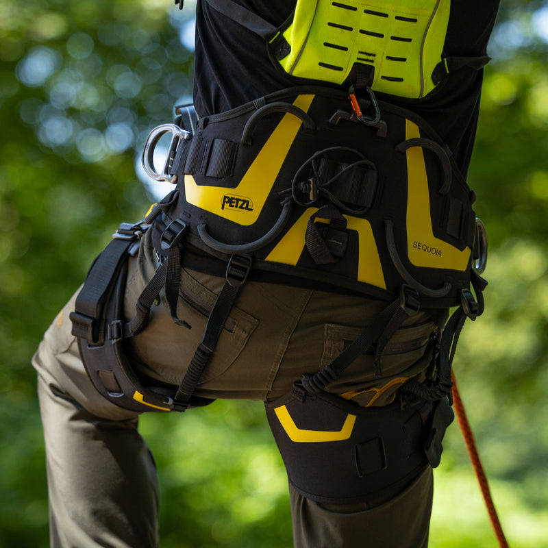 Petzl Sequoia PLUS Harness