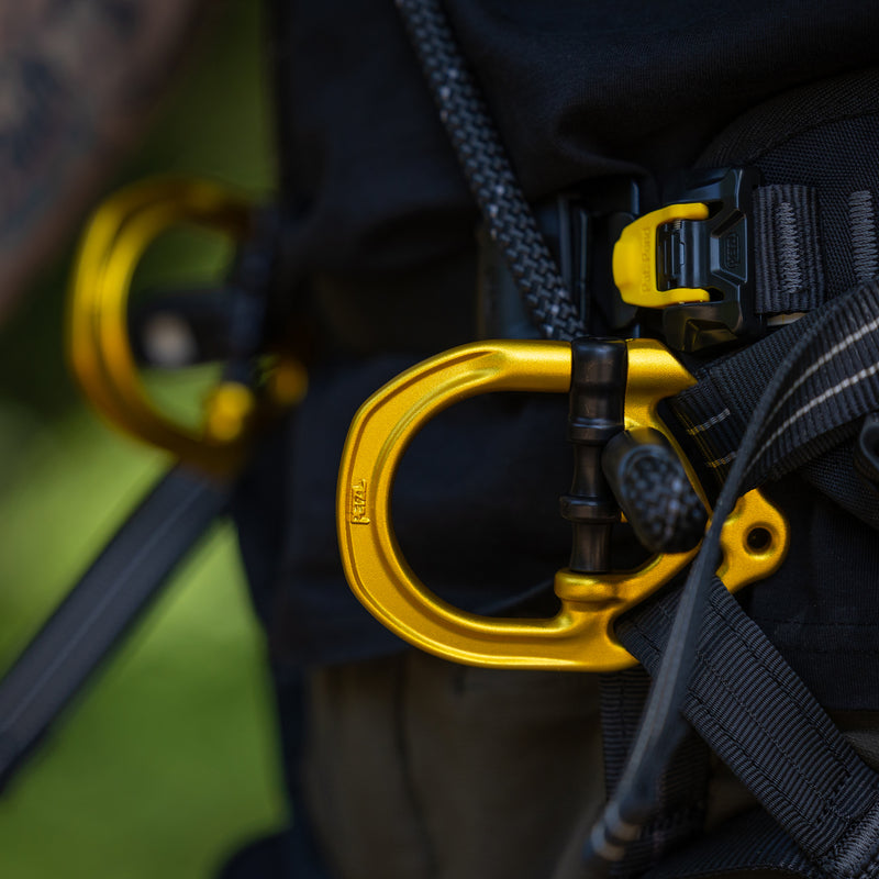 Petzl Sequoia PLUS Harness