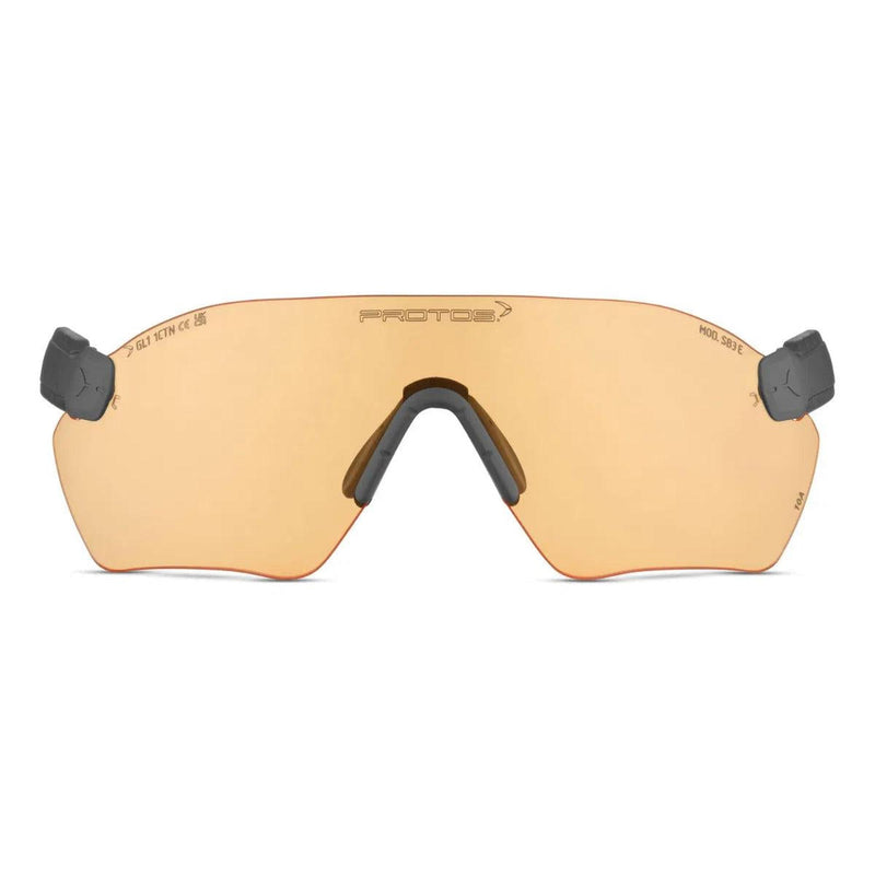 Protos Integral Safety Glasses