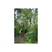 Silky Hayauchi Telescopic Tree Pruner Polesaw