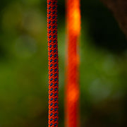 Teufelberger Tachyon 11.5mm Climbing Rope - Orange / Blue - 1 Splife