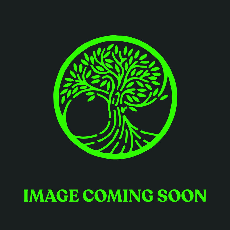 Teufelberger tREX 19.1mm Whoopie Sling with Ring - Orange / Green - 3m