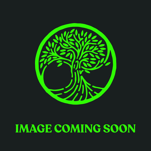 Teufelberger tREX 19.1mm Whoopie Sling with Ring - Orange / Green - 3m