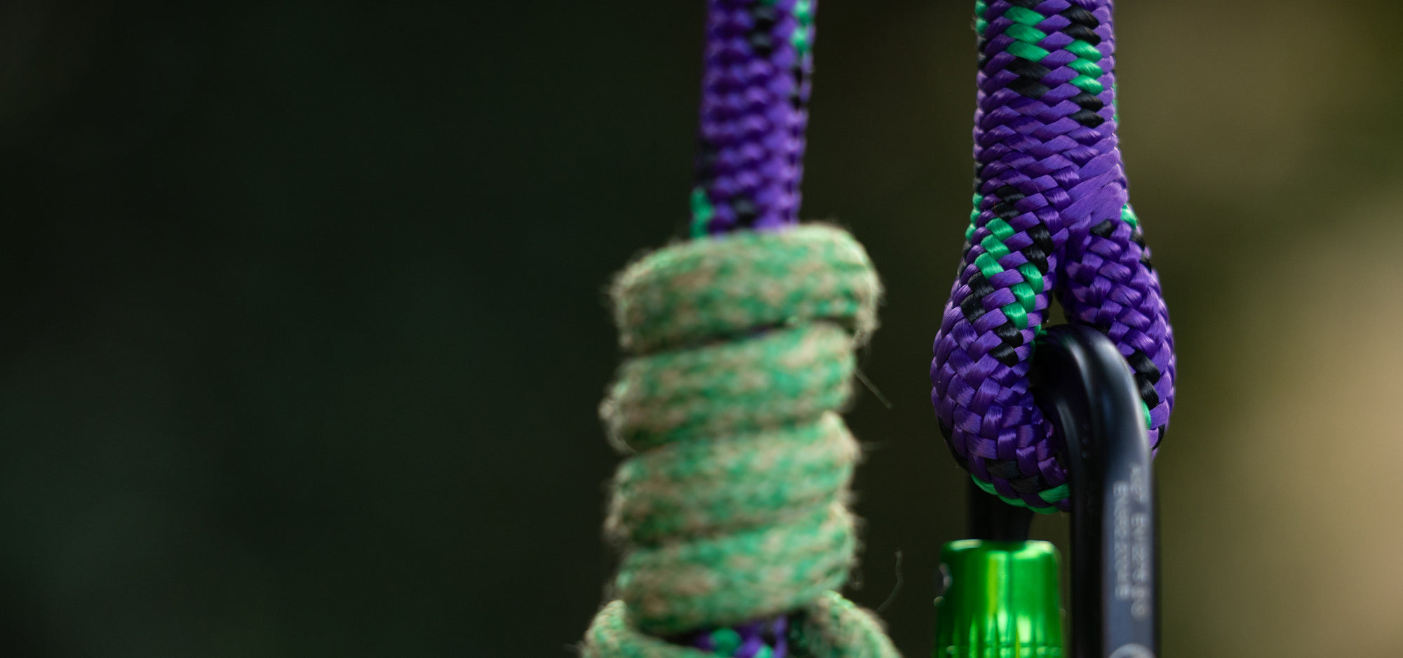 Close-up of a climbing rope loop with a green-and-purple woven rope wrapped around a metal carabiner, set against a dark blurred background.