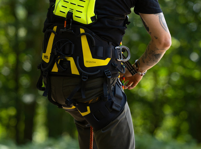 A close-up of a person wearing a high-visibility yellow and black climbing harness with a carabiner, set against a blurred green forest background.