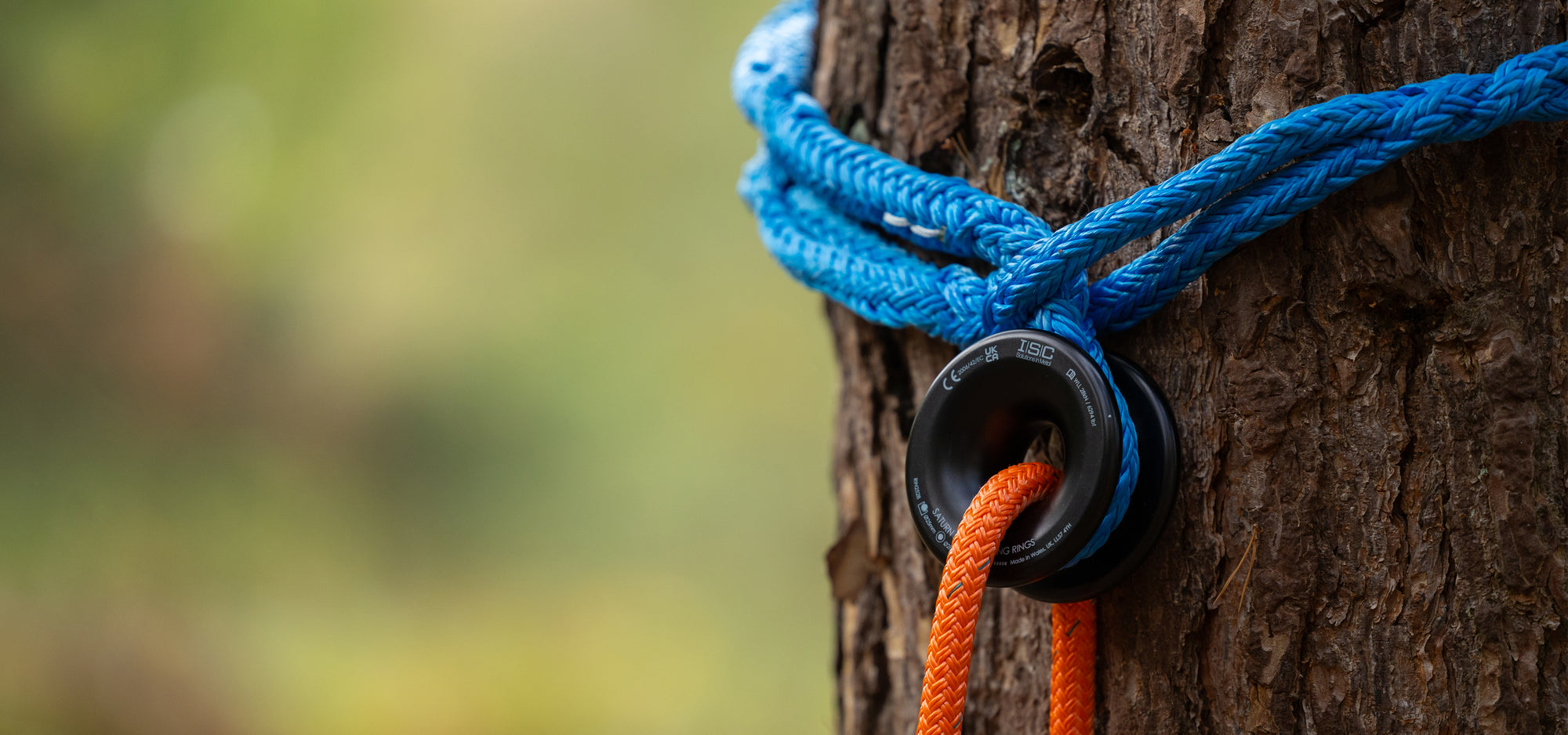 A close-up of a blue rope tied around a tree trunk, passing through a black metal carabiner with an orange rope threaded through it. The background is a soft, blurred green and yellow outdoor setting.