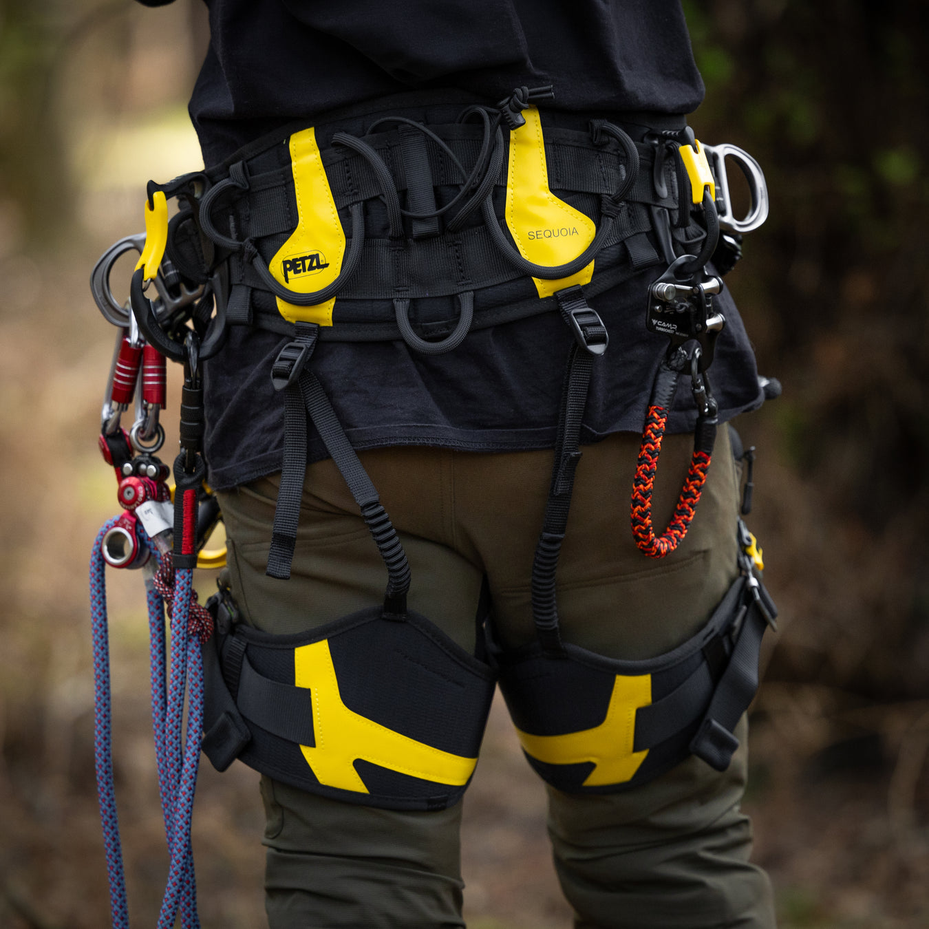 Person wearing a climbing harness with various equipment in a forest setting
