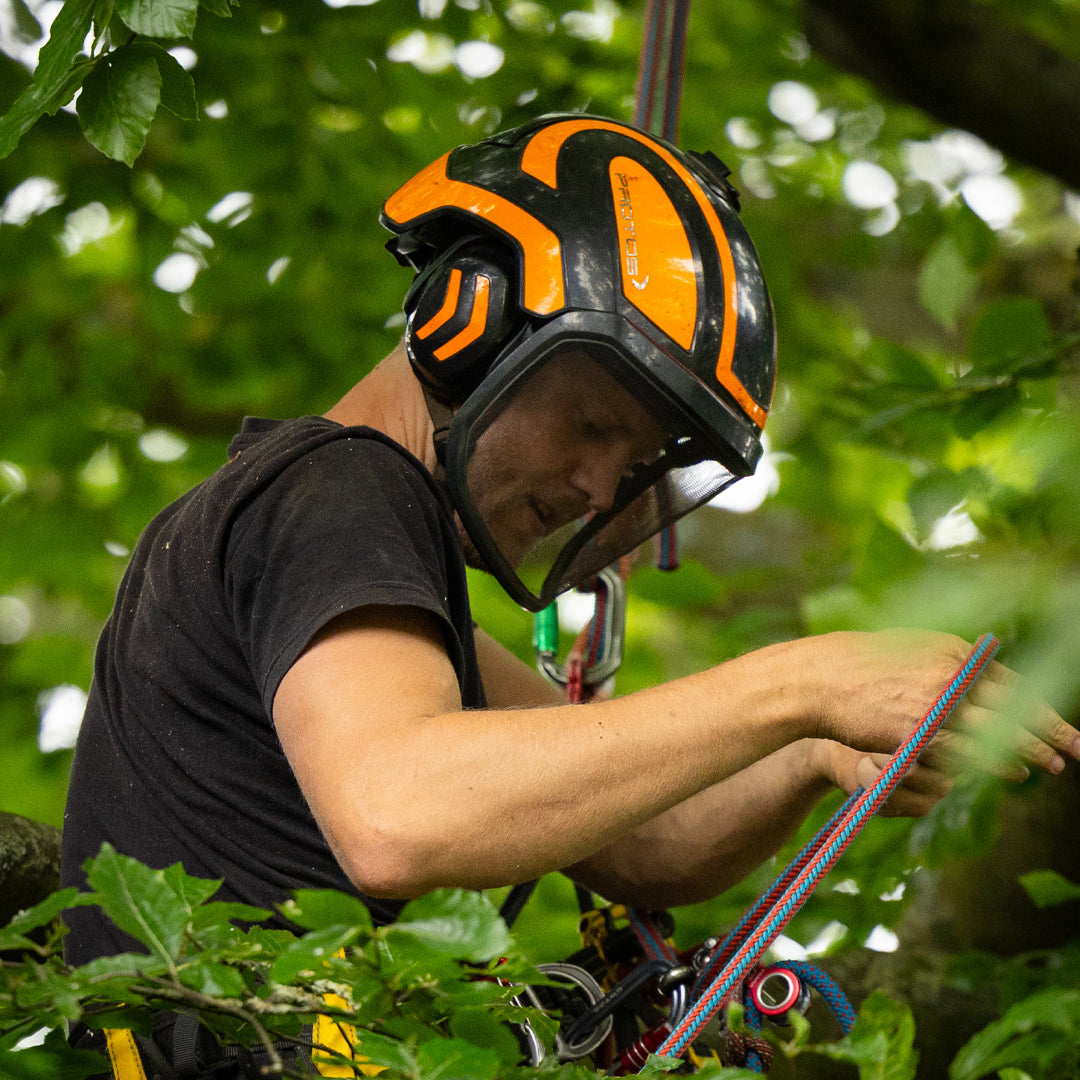 Person in tree wearing a helmet and climbing gear with green foliage in the background
